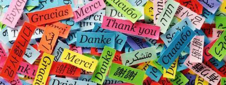 Do you know Merci=Thank you=Gracias=متشکرم=شکرا?