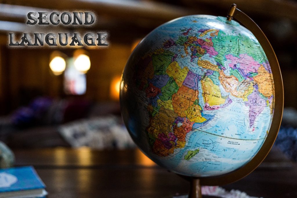 Learning-a-second-language-in-the-multidimensional-world---Copy
