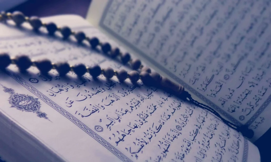 Speech Organs for Pronunciation of Arabic Letters