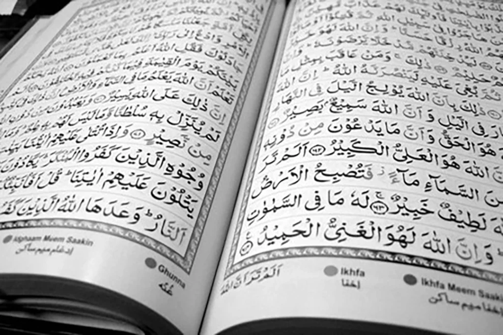 The Similarities and Differences Between (ت، ط)