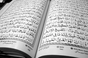 The Similarities and Differences Between (ت، ط)
